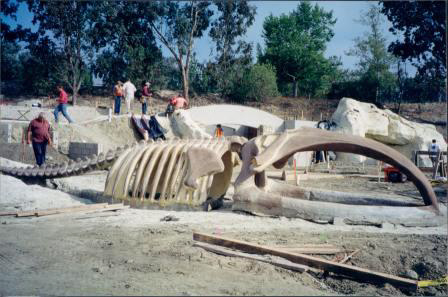 Bowhead Whale Skeleton Offloaded